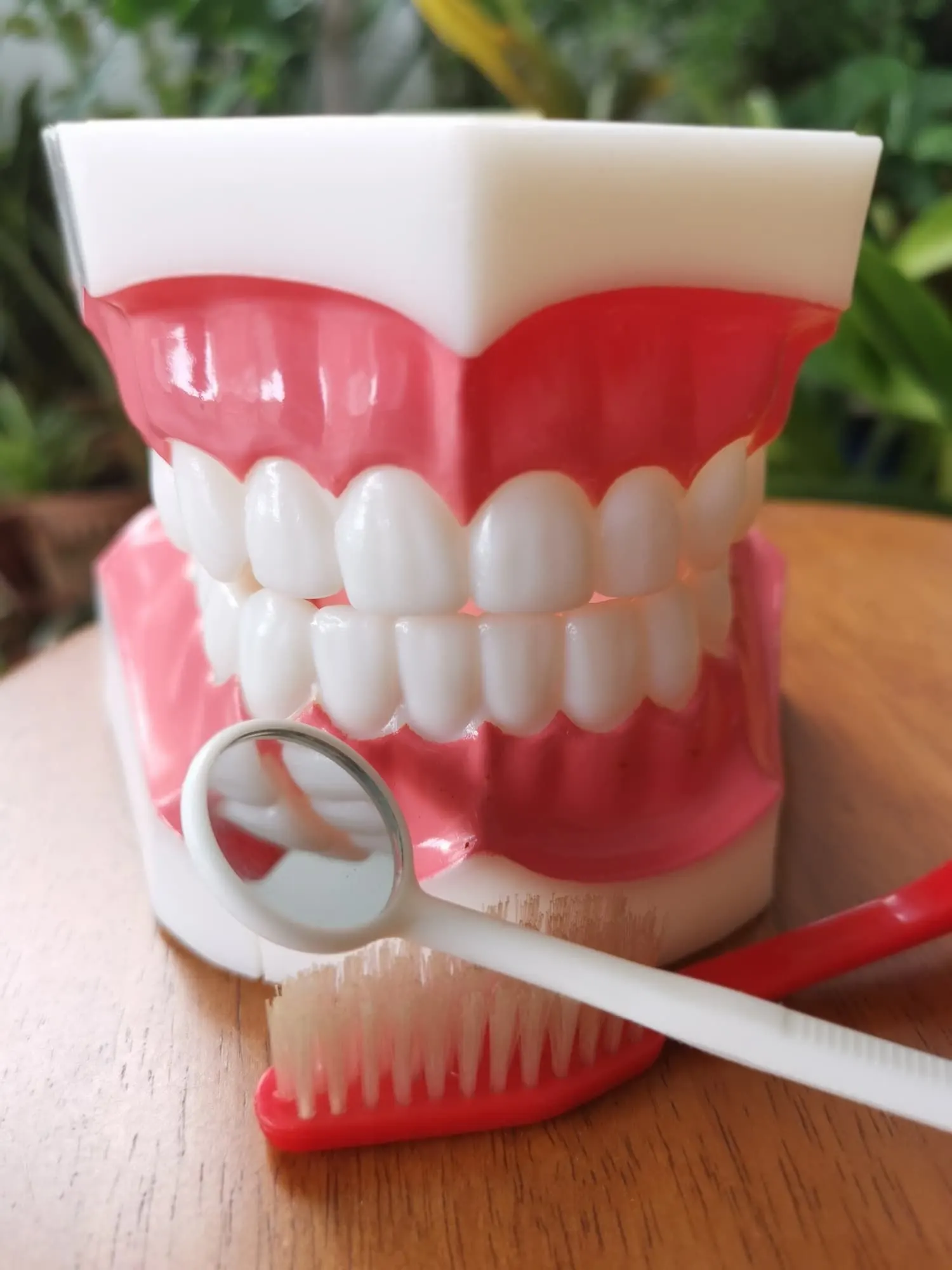 Close up of healthy gum tissue after a successful gum grafting procedure
